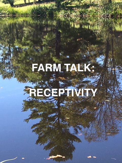 Receptivity